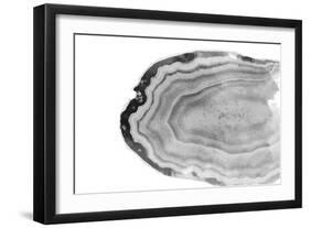 Watercolor Bw Agate-Susan Bryant-Framed Art Print