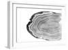 Watercolor Bw Agate-Susan Bryant-Framed Art Print