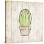 Watercolor Cactus 1-Kimberly Allen-Stretched Canvas