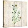 Watercolor Cactus 2-Kimberly Allen-Stretched Canvas