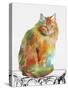 Watercolor Cat On Table F-Jean Plout-Stretched Canvas