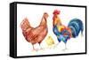 Watercolor Chicken Family - Hen Rooster Chicken. Hand Painted Illustration-tanycya-Framed Stretched Canvas