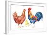 Watercolor Chicken Family - Hen Rooster Chicken. Hand Painted Illustration-tanycya-Framed Art Print