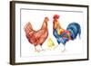 Watercolor Chicken Family - Hen Rooster Chicken. Hand Painted Illustration-tanycya-Framed Art Print