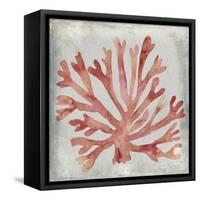 Watercolor Coral III-Megan Meagher-Framed Stretched Canvas