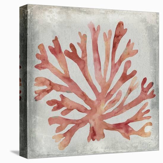 Watercolor Coral III-Megan Meagher-Stretched Canvas