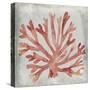 Watercolor Coral III-Megan Meagher-Stretched Canvas