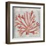 Watercolor Coral III-Megan Meagher-Framed Art Print