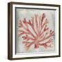 Watercolor Coral III-Megan Meagher-Framed Art Print