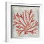 Watercolor Coral III-Megan Meagher-Framed Art Print