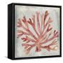 Watercolor Coral III-Megan Meagher-Framed Stretched Canvas