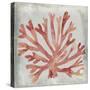 Watercolor Coral III-Megan Meagher-Stretched Canvas
