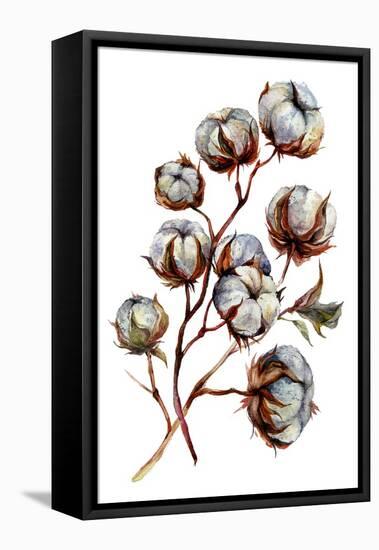 Watercolor Cotton Plant Isolated on White. Drawing of Cotton Bolls. Rustic Floral Wedding Arrangeme-Inna Sinano-Framed Stretched Canvas