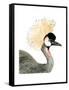 Watercolor Crested Crane-Naomi McCavitt-Framed Stretched Canvas