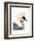 Watercolor Crested Crane-Naomi McCavitt-Framed Art Print