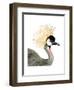 Watercolor Crested Crane-Naomi McCavitt-Framed Art Print