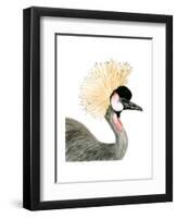 Watercolor Crested Crane-Naomi McCavitt-Framed Art Print