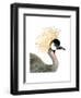 Watercolor Crested Crane-Naomi McCavitt-Framed Art Print