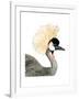 Watercolor Crested Crane-Naomi McCavitt-Framed Art Print