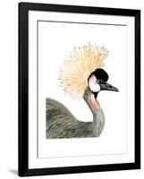 Watercolor Crested Crane-Naomi McCavitt-Framed Art Print