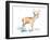 Watercolor Deer-Lanie Loreth-Framed Art Print