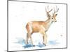 Watercolor Deer-Lanie Loreth-Mounted Art Print