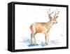 Watercolor Deer-Lanie Loreth-Framed Stretched Canvas