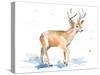 Watercolor Deer-Lanie Loreth-Stretched Canvas