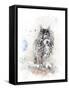 Watercolor Digital Painting of   Perching Owl-abracadabra99-Framed Stretched Canvas