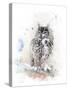 Watercolor Digital Painting of   Perching Owl-abracadabra99-Stretched Canvas