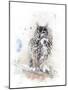 Watercolor Digital Painting of   Perching Owl-abracadabra99-Mounted Photographic Print