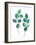 Watercolor Eucalyptus Branches - Botanical Illustration-Maria Mirnaya-Framed Art Print