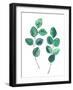 Watercolor Eucalyptus Branches - Botanical Illustration-Maria Mirnaya-Framed Art Print