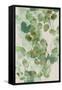 Watercolor Eucalyptus I-Jennifer Goldberger-Framed Stretched Canvas