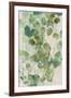 Watercolor Eucalyptus I-Jennifer Goldberger-Framed Art Print