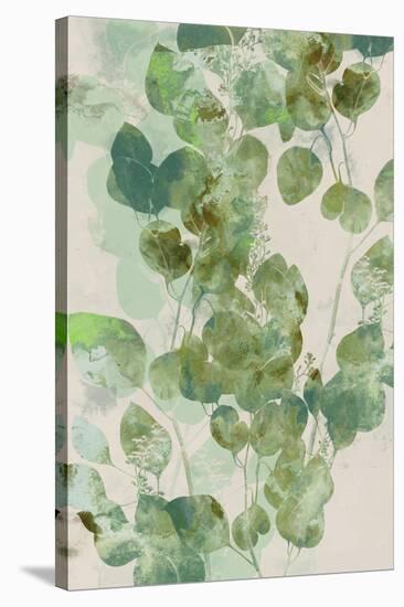 Watercolor Eucalyptus I-Jennifer Goldberger-Stretched Canvas