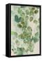 Watercolor Eucalyptus I-Jennifer Goldberger-Framed Stretched Canvas