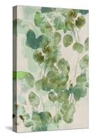 Watercolor Eucalyptus I-Jennifer Goldberger-Stretched Canvas