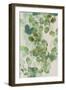 Watercolor Eucalyptus I-Jennifer Goldberger-Framed Art Print