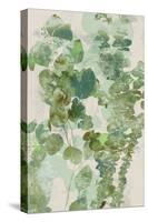 Watercolor Eucalyptus II-Jennifer Goldberger-Stretched Canvas
