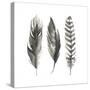 Watercolor Feathers I-Grace Popp-Stretched Canvas