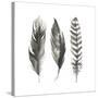 Watercolor Feathers I-Grace Popp-Stretched Canvas