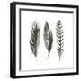 Watercolor Feathers I-Grace Popp-Framed Art Print