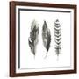 Watercolor Feathers I-Grace Popp-Framed Art Print