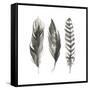 Watercolor Feathers I-Grace Popp-Framed Stretched Canvas