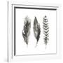 Watercolor Feathers I-Grace Popp-Framed Art Print