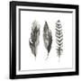 Watercolor Feathers I-Grace Popp-Framed Art Print