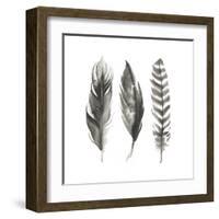 Watercolor Feathers I-Grace Popp-Framed Art Print