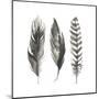 Watercolor Feathers I-Grace Popp-Mounted Art Print