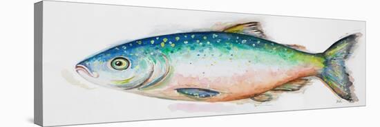 Watercolor Fish I-Patrcia Pinto-Stretched Canvas